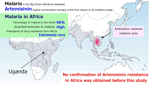 Fig 1: What we knew about artemisinin-resistant malaria in Africa prior to this study.