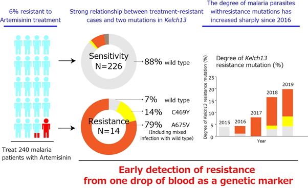 Fig 2:Evidence of artemisinin-resistant malaria in Africa revealed in this study