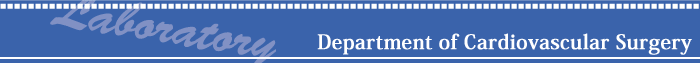 Department of Cardiovascular Surgery