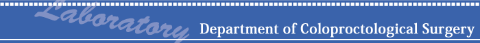 The department of coloproctological surgery