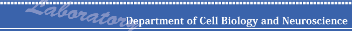 Department of Developmental Neurobiology