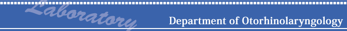 Department of Otorhinolaryngology