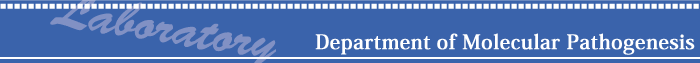 Department of Molecular Pathogenesis