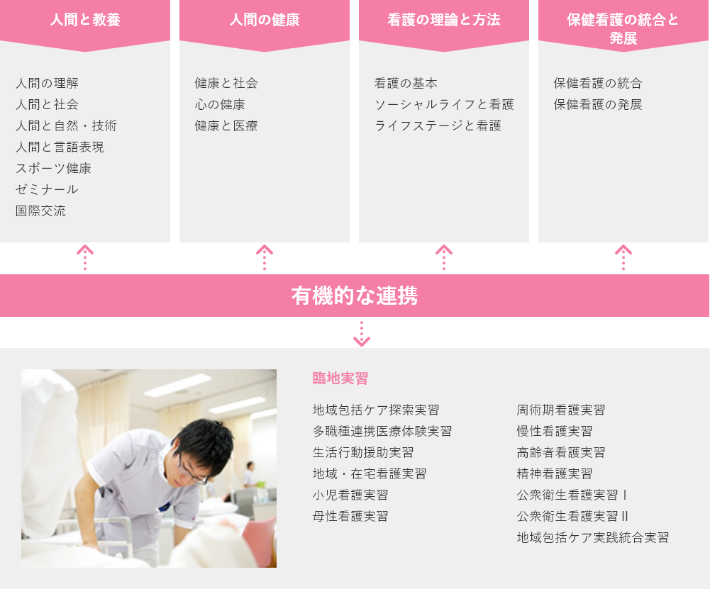 curriculum