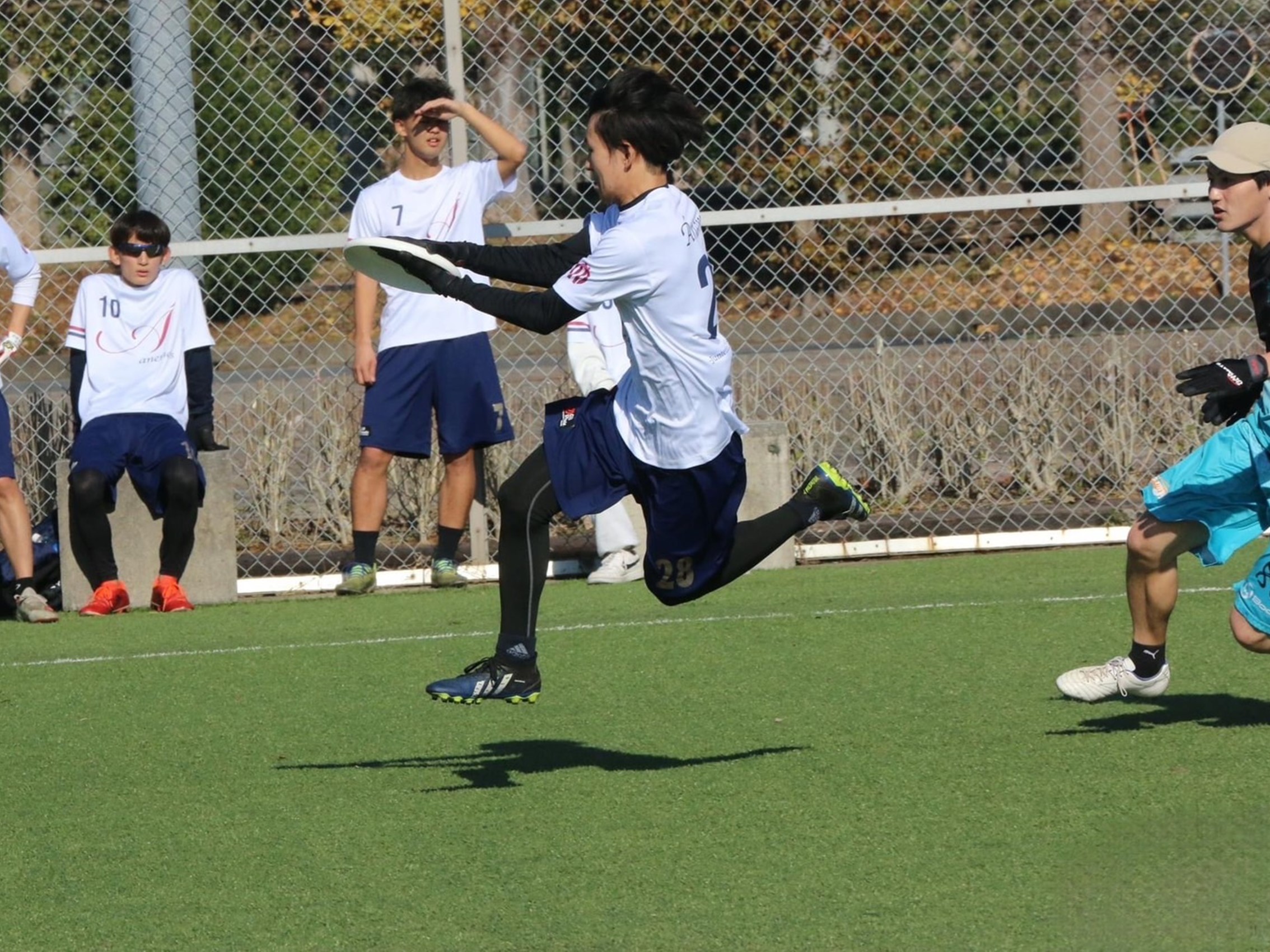 2023アルティメット同好会_スナップ写真⑤