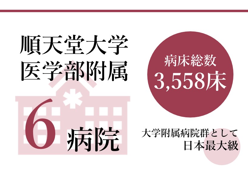 附属病院数
