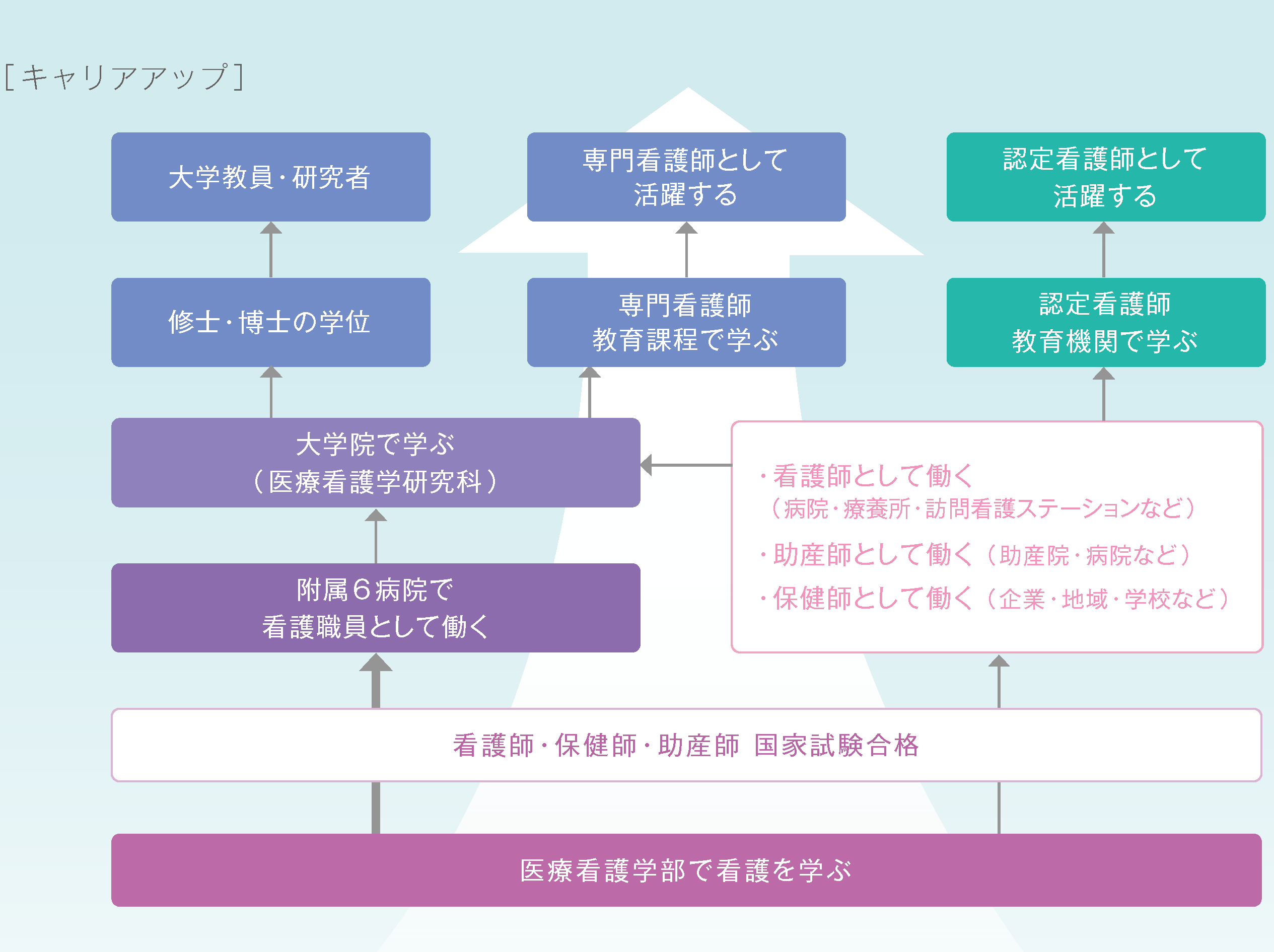 professional_development