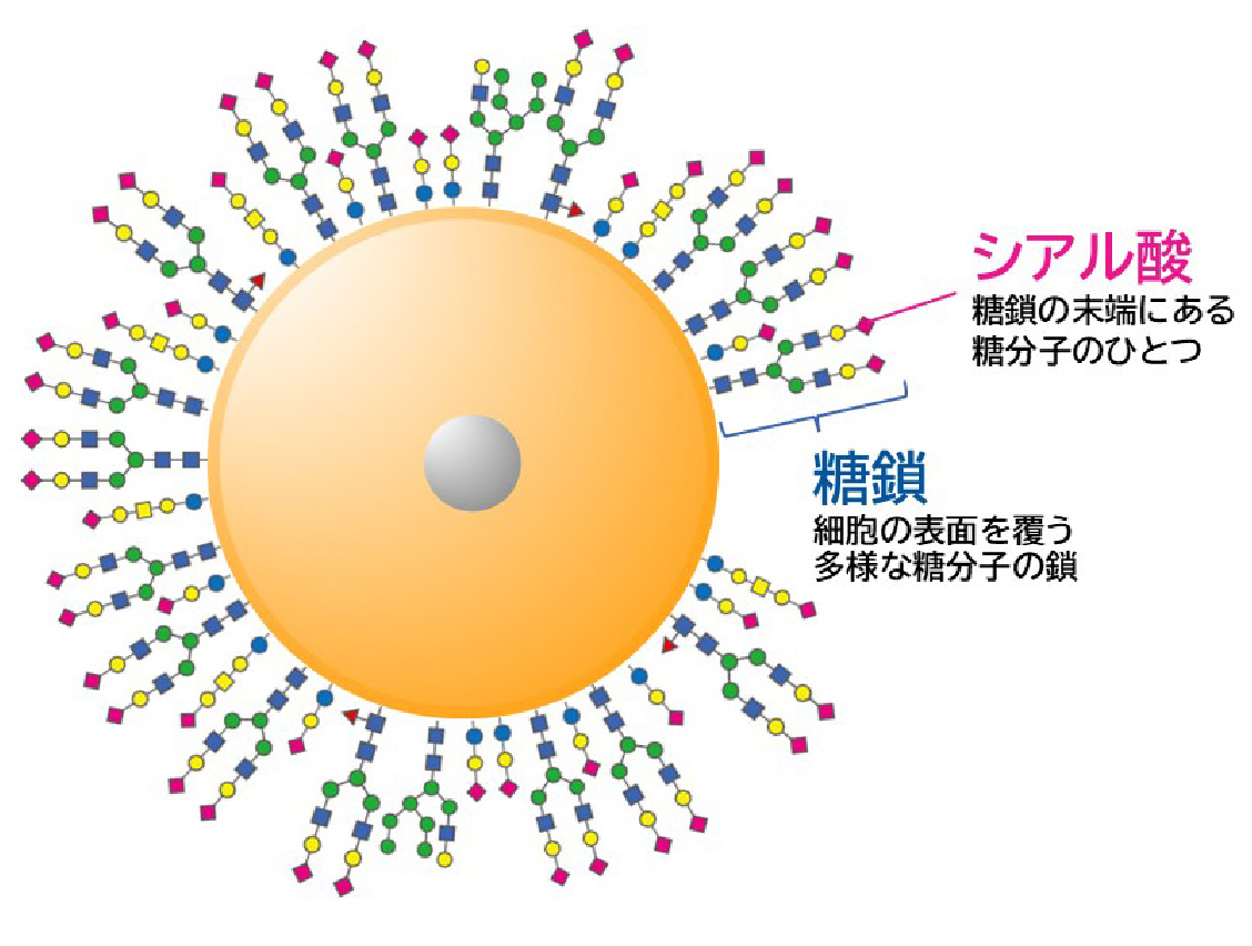 junten_web_minami_photo_2
