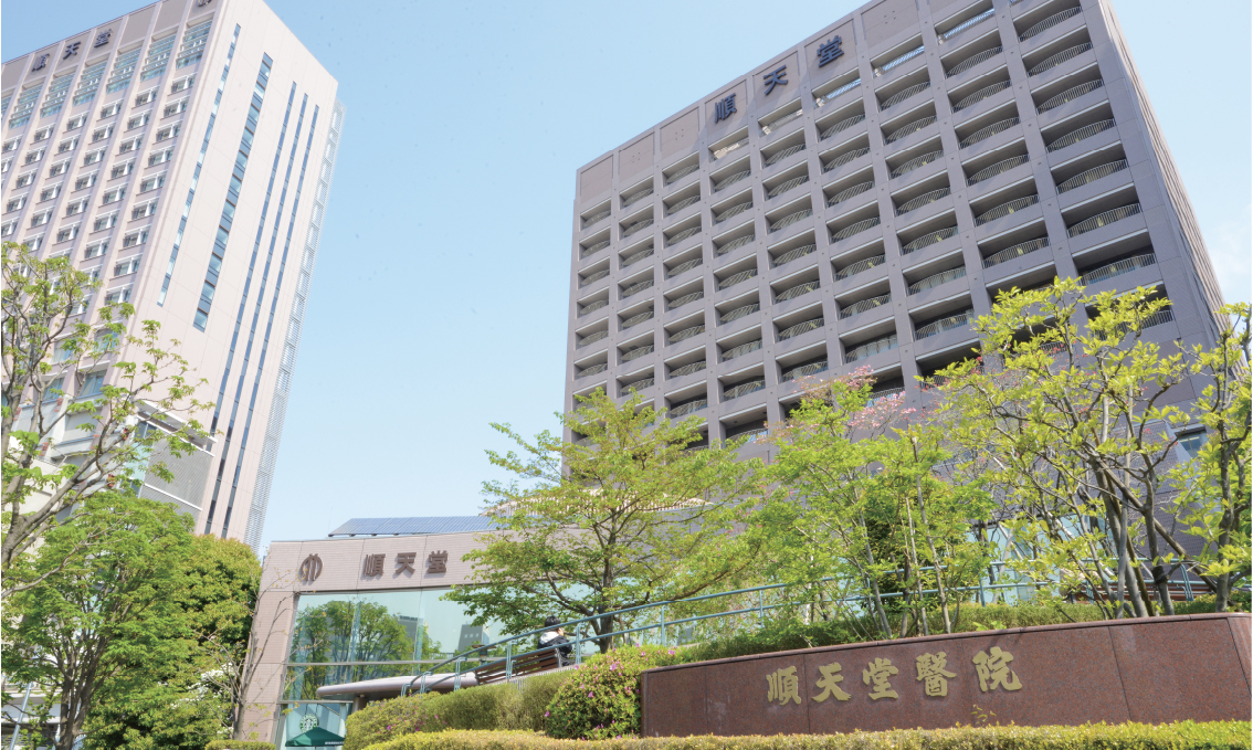 pha_web_aoshima_photo_2