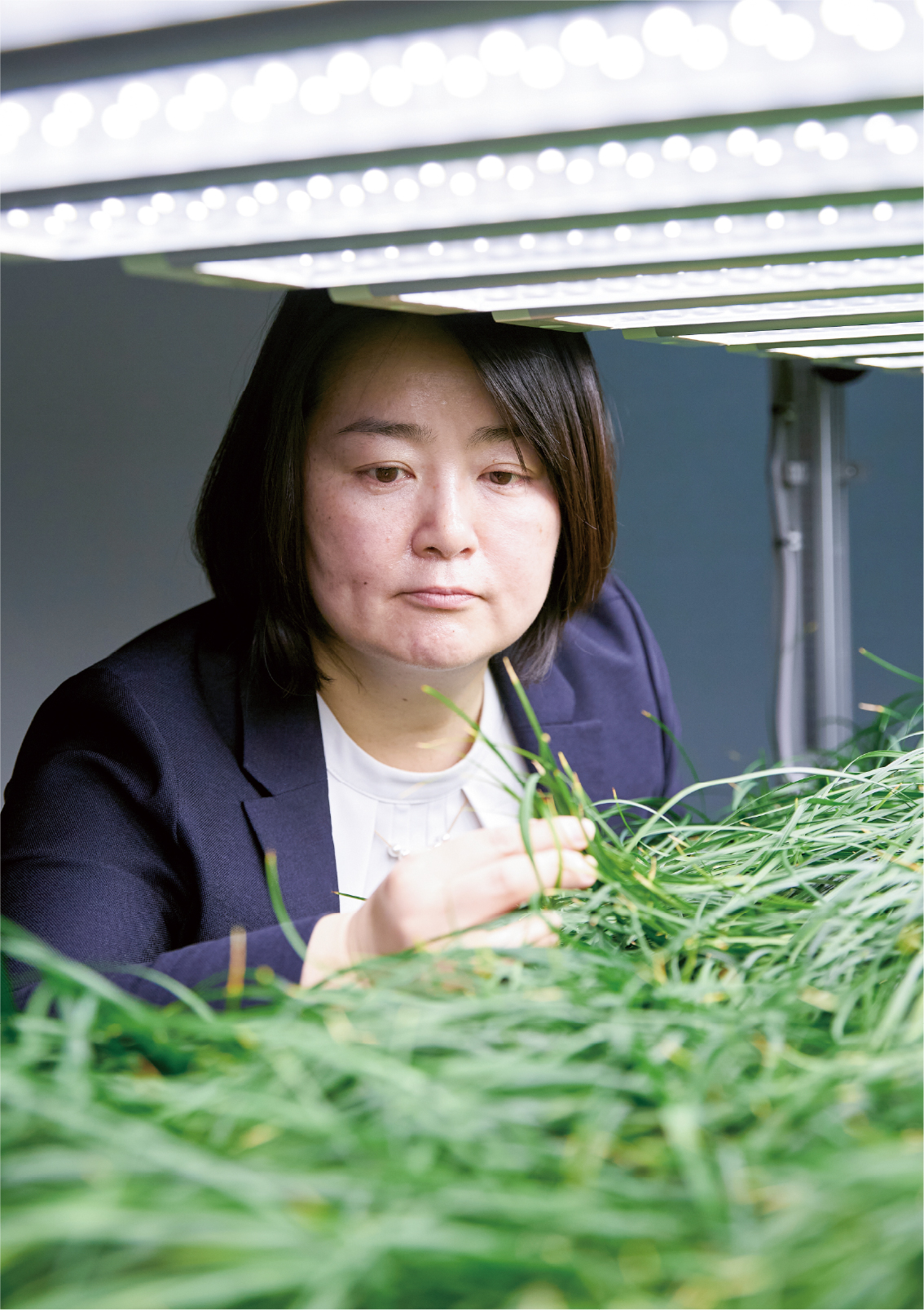pha_web_sugimoto_photo_4