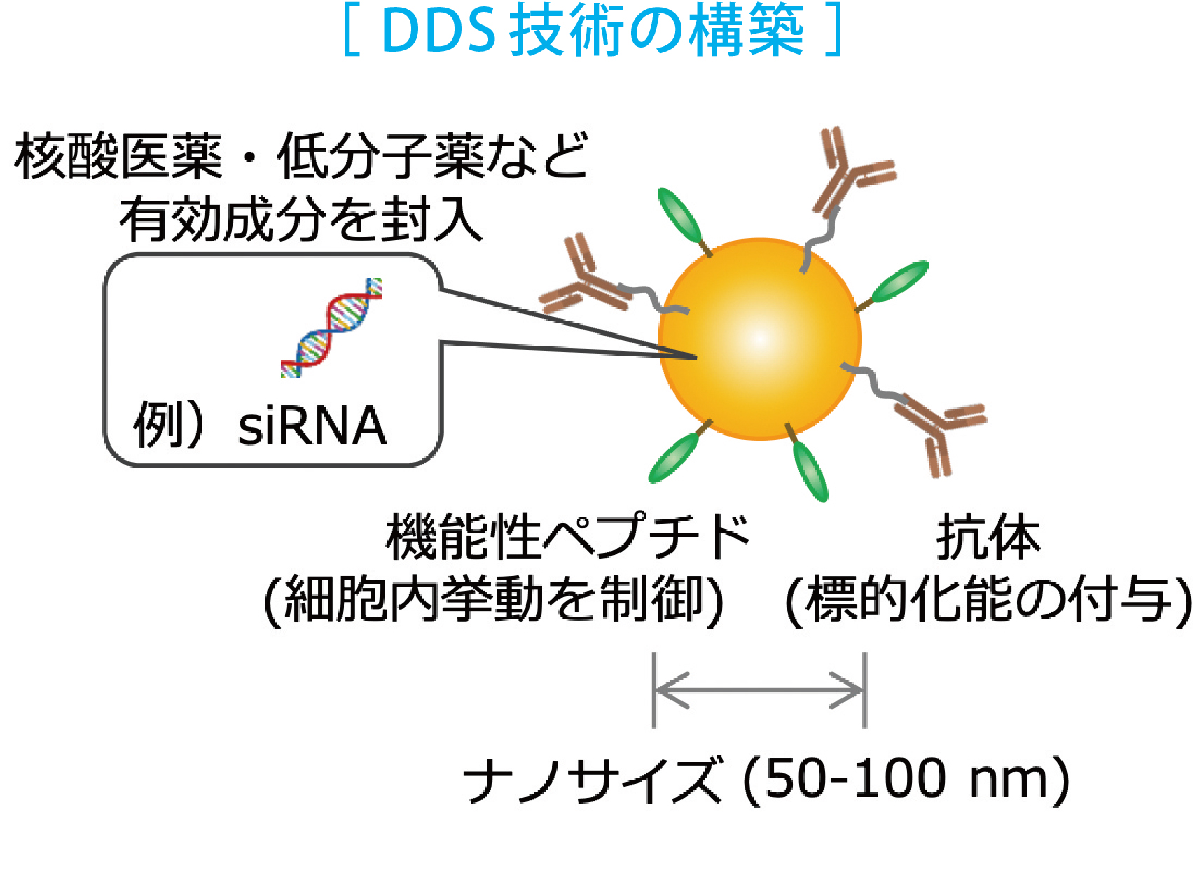takashima_sub_1