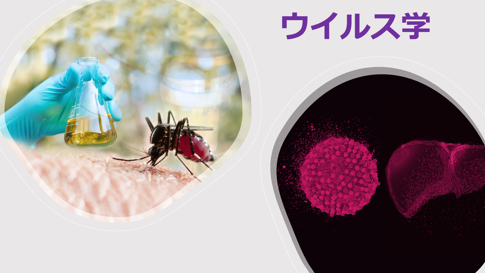 ウイルス学