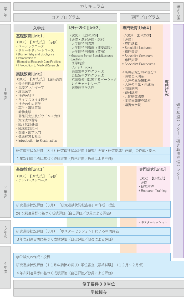 curriculum