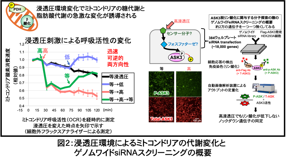 biomolecular-response_02