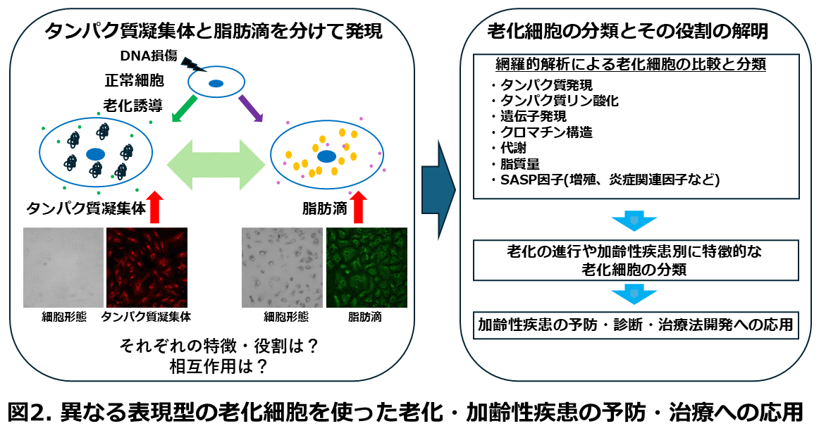 biomolecular-response_05