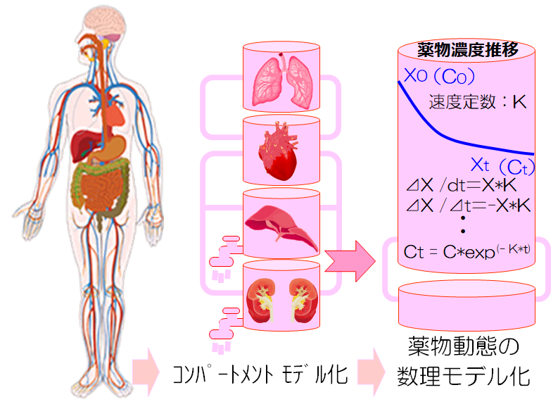 clinical-pharmacy_01