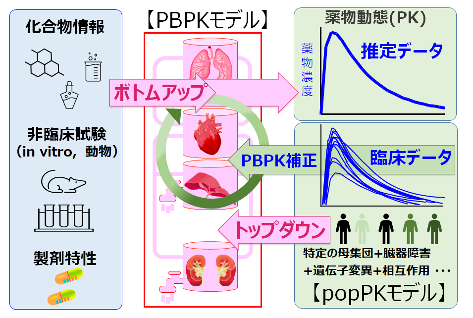 clinical-pharmacy_02