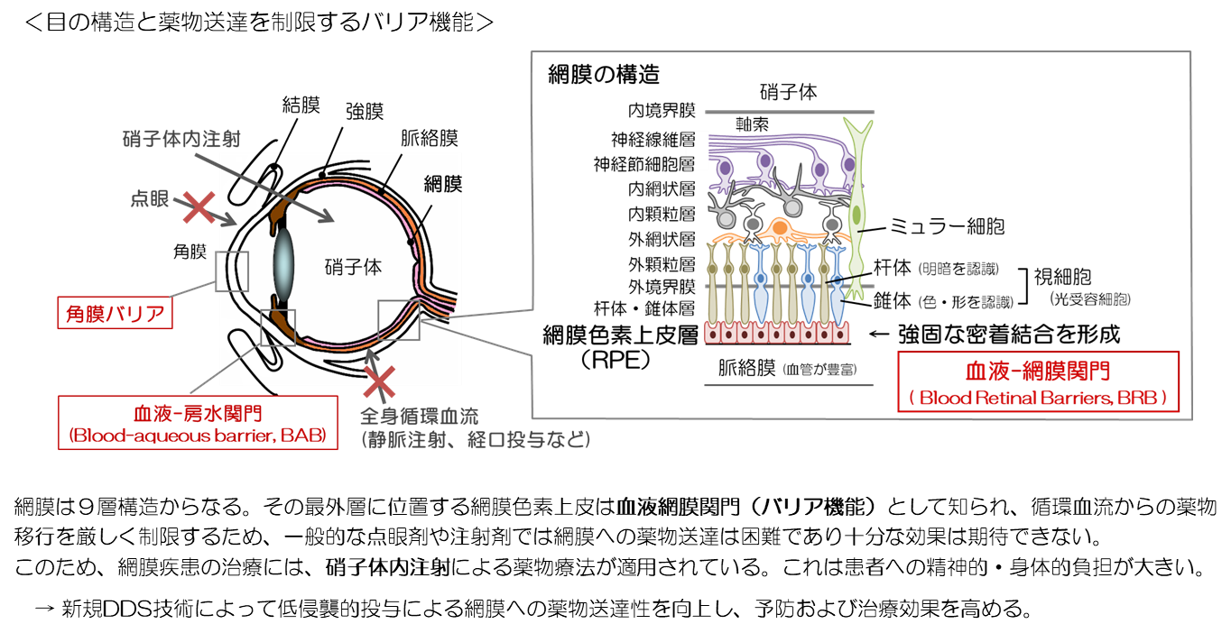 drug-delivery_02