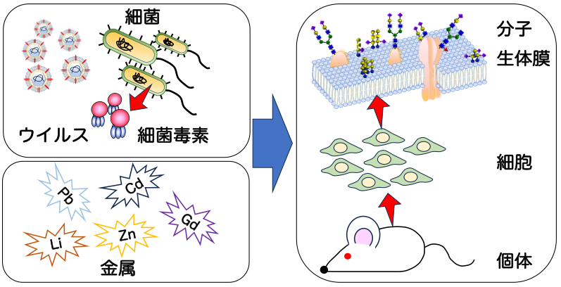 environmental-health_01