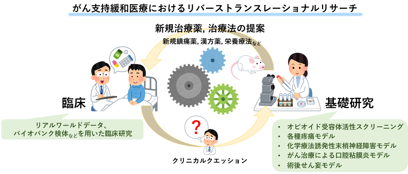 functional-pharmacology_03