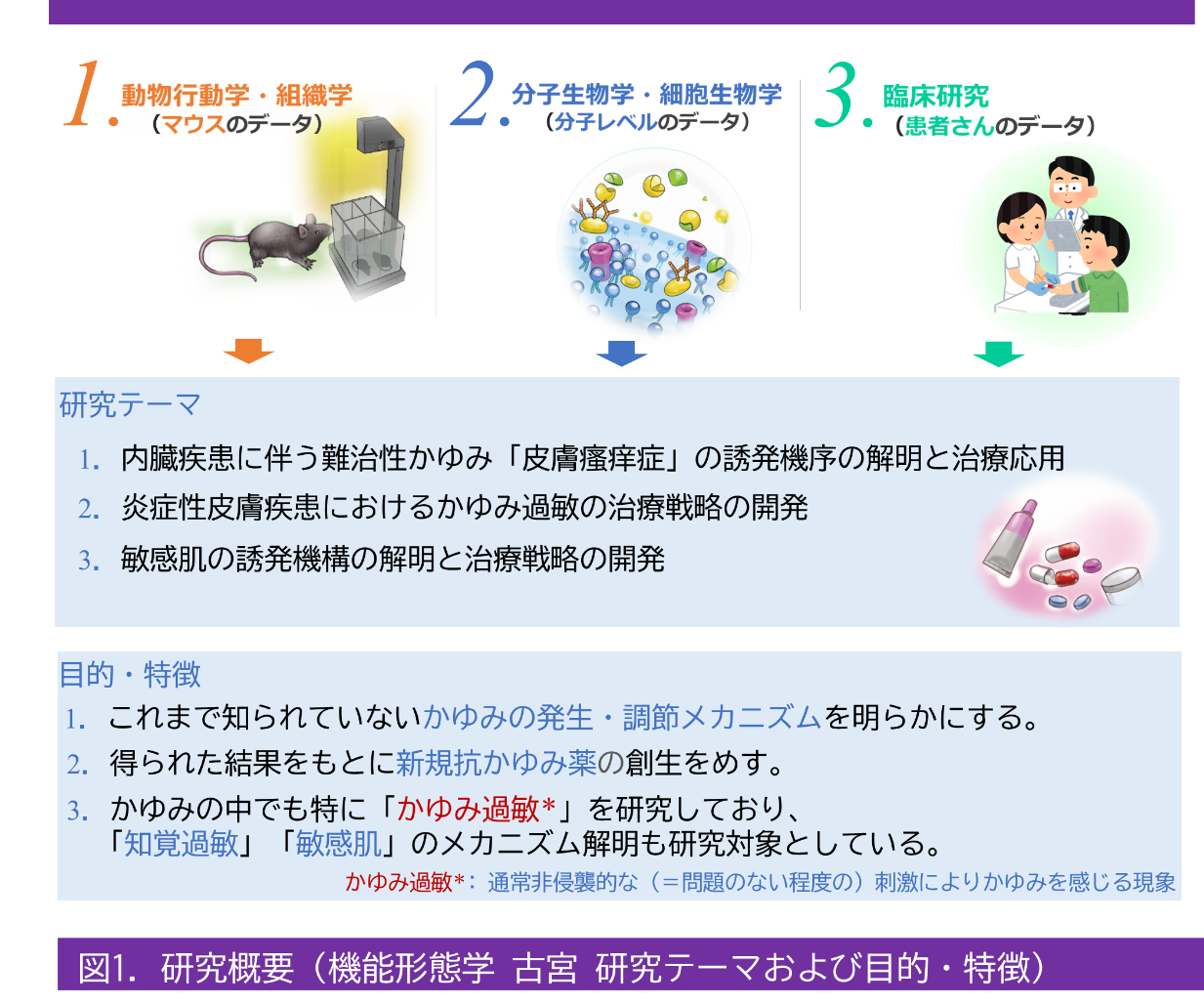 functional-pharmacology_13