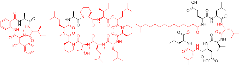 medicinal-chemistry_05