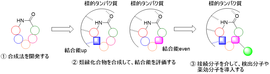 medicinal-chemistry_06