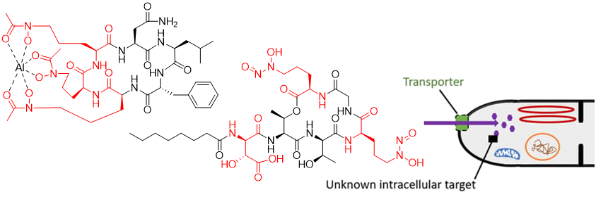 medicinal-chemistry_07