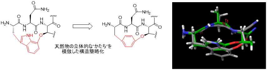 medicinal-chemistry_08