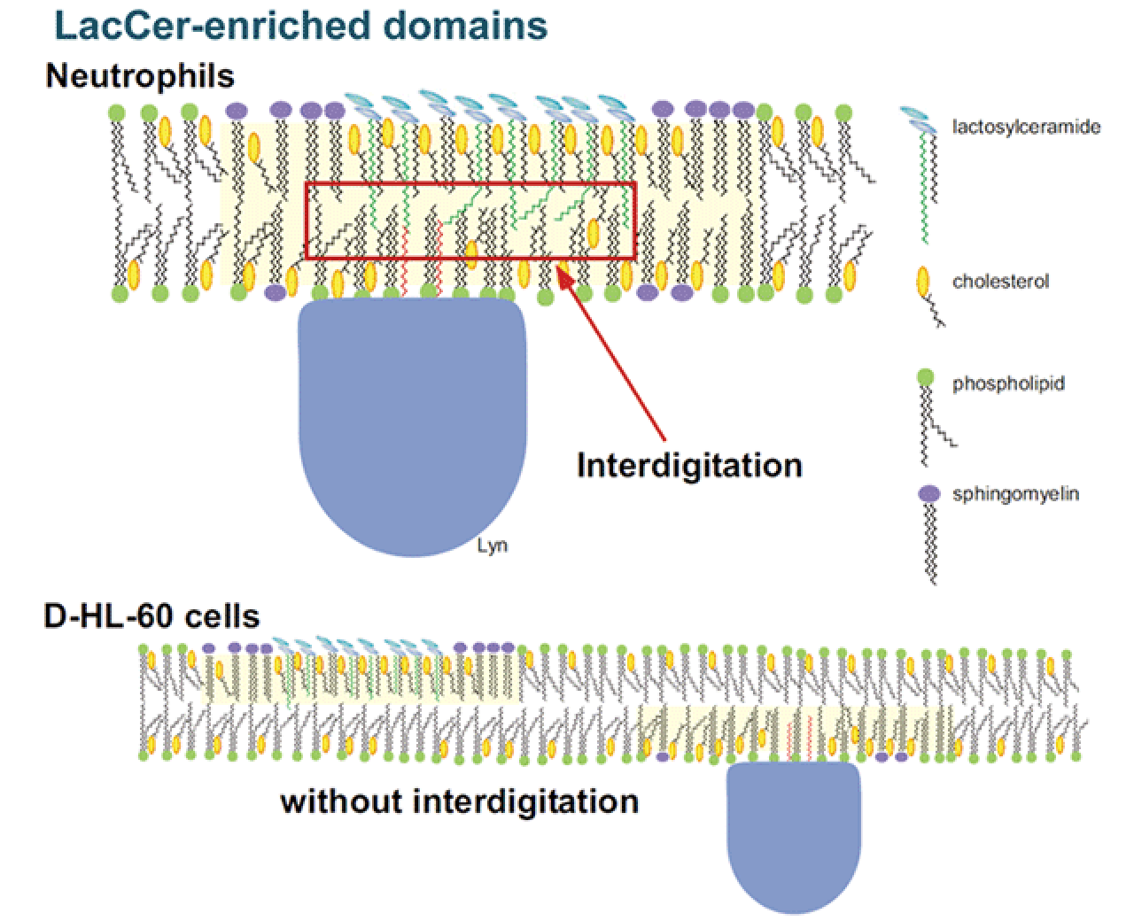 molecular-biology_01