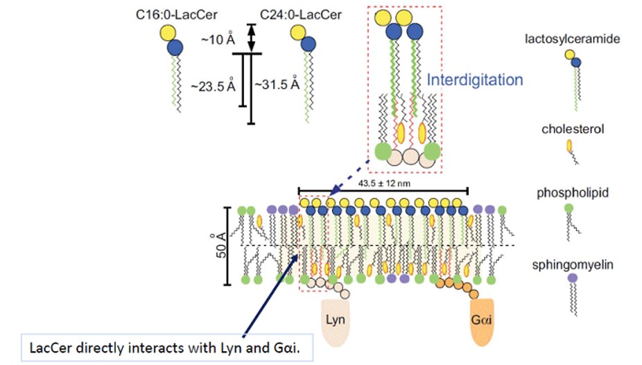 molecular_biology_02