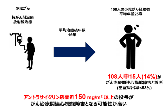 聖路加画像3