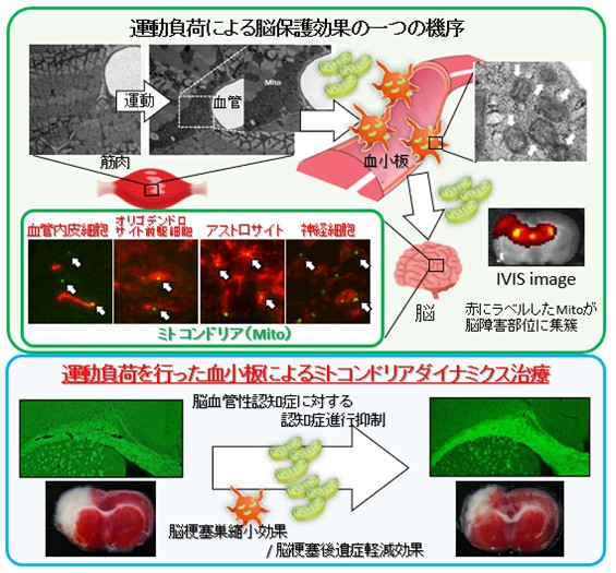 20260119プレスリリース画像_5