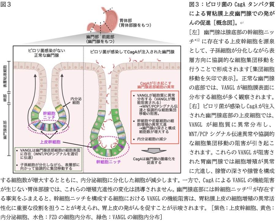 金光先生3