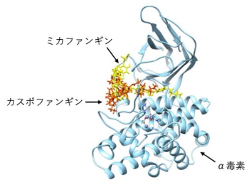20260416プレスリリース画像_1