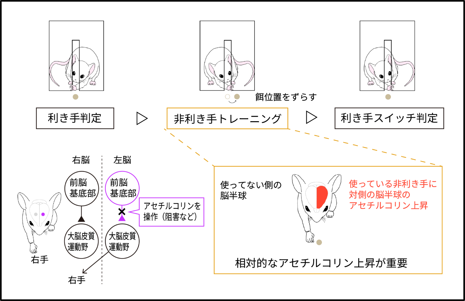日置画像1