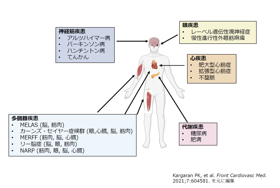 スクリーンショット 2025-11-17 102422