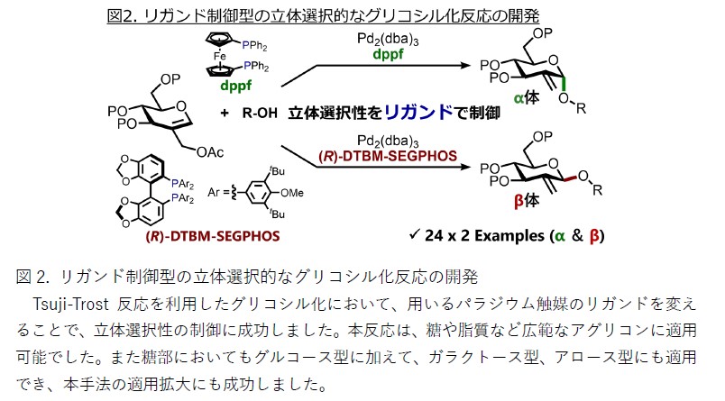 秋山先生③③