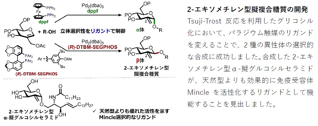 秋山先生①