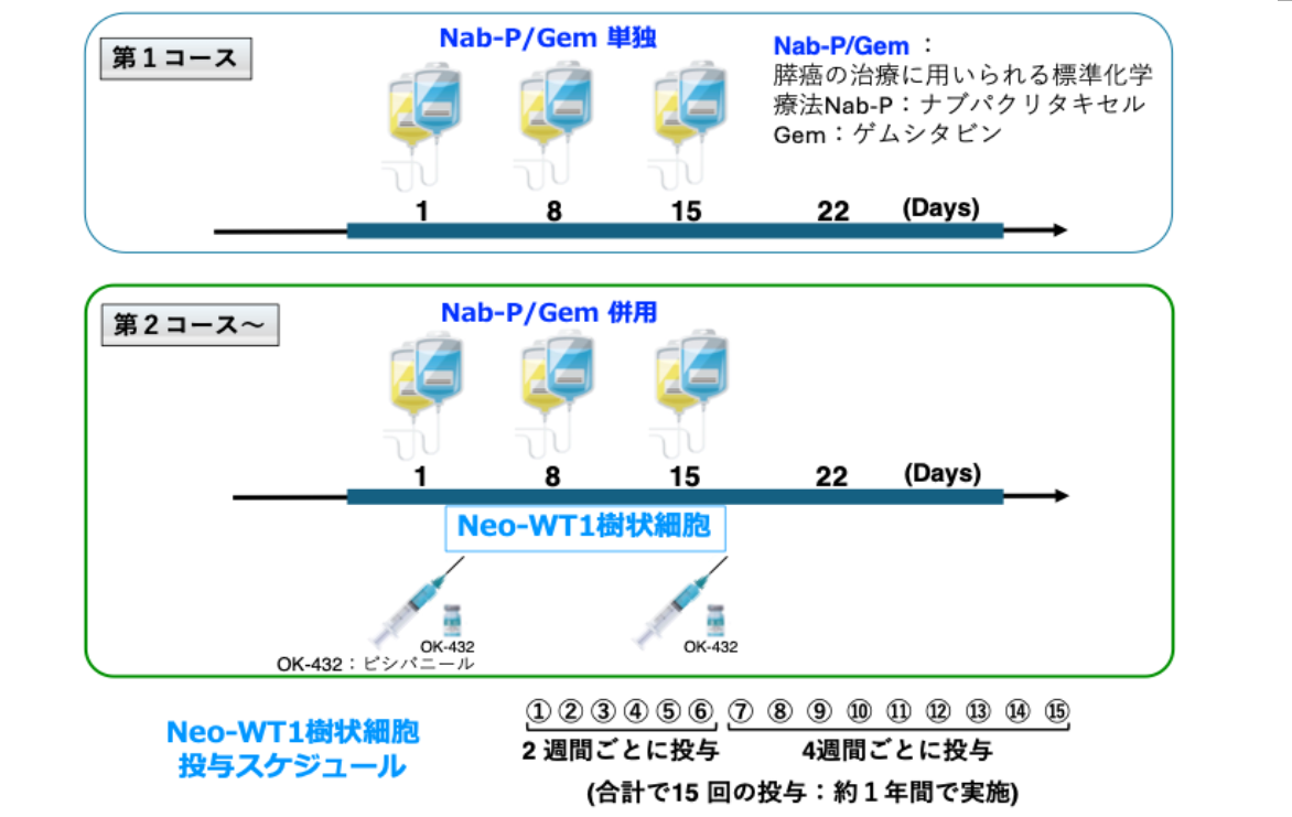 スクリーンショット 2025-08-25 105130