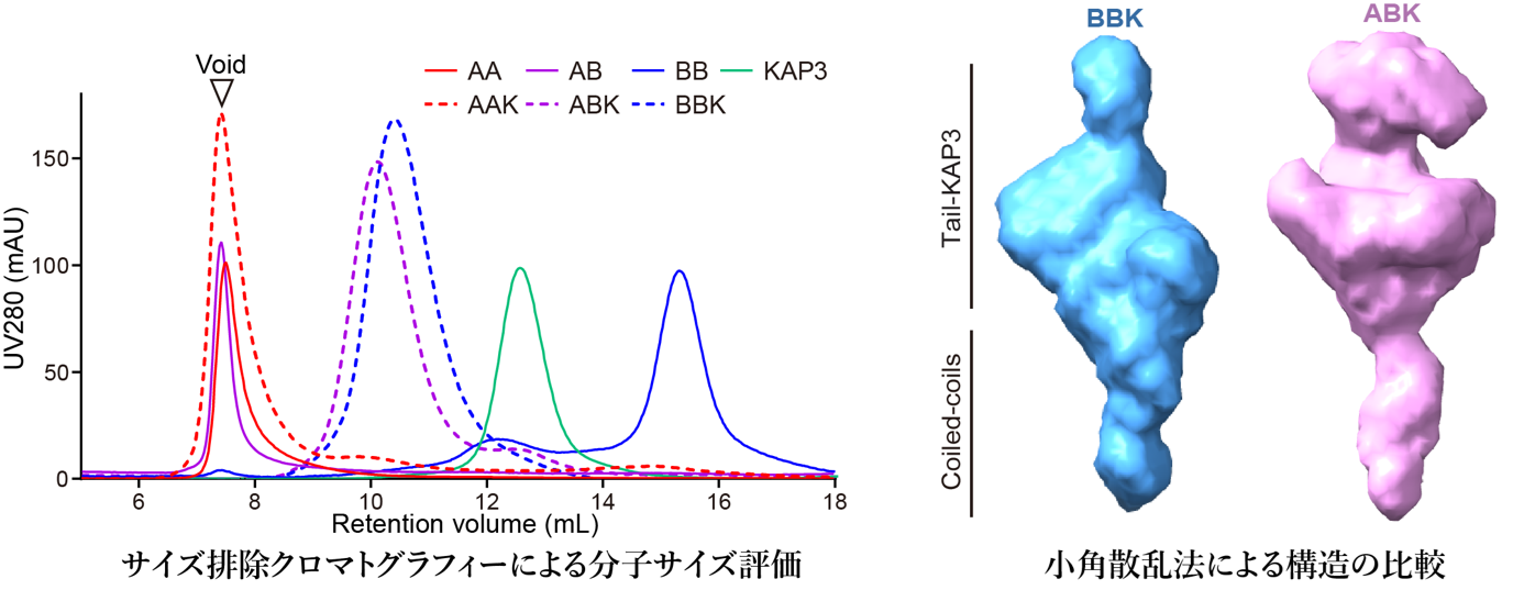 廣川先生0330画像3