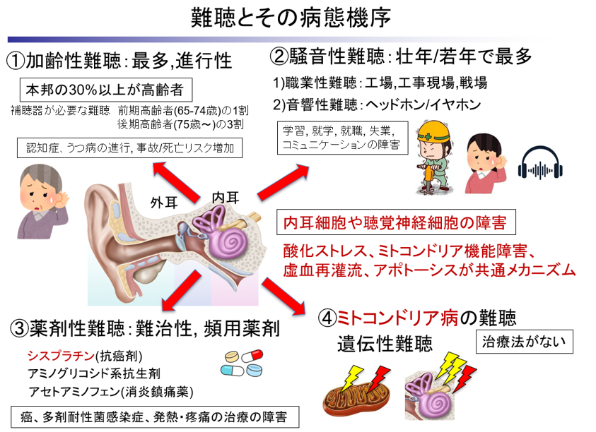 スクリーンショット 2025-11-17 102446
