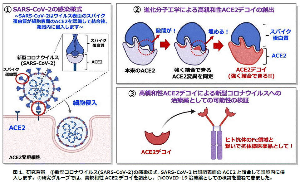 図11スクリーンショット 2023-08-30 113247