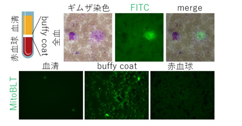 20260119プレスリリース画像_3