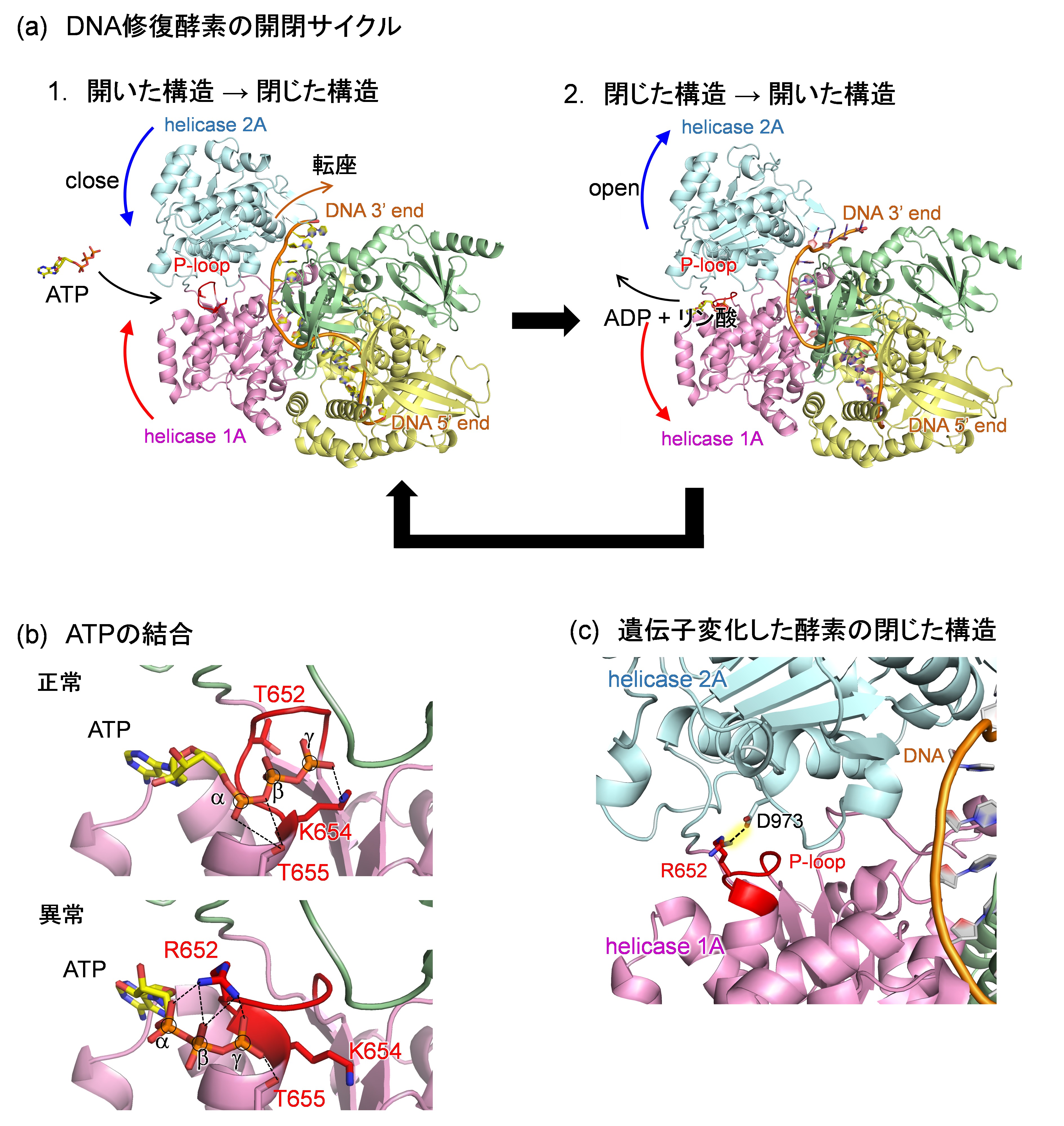八塚先生1121画像1