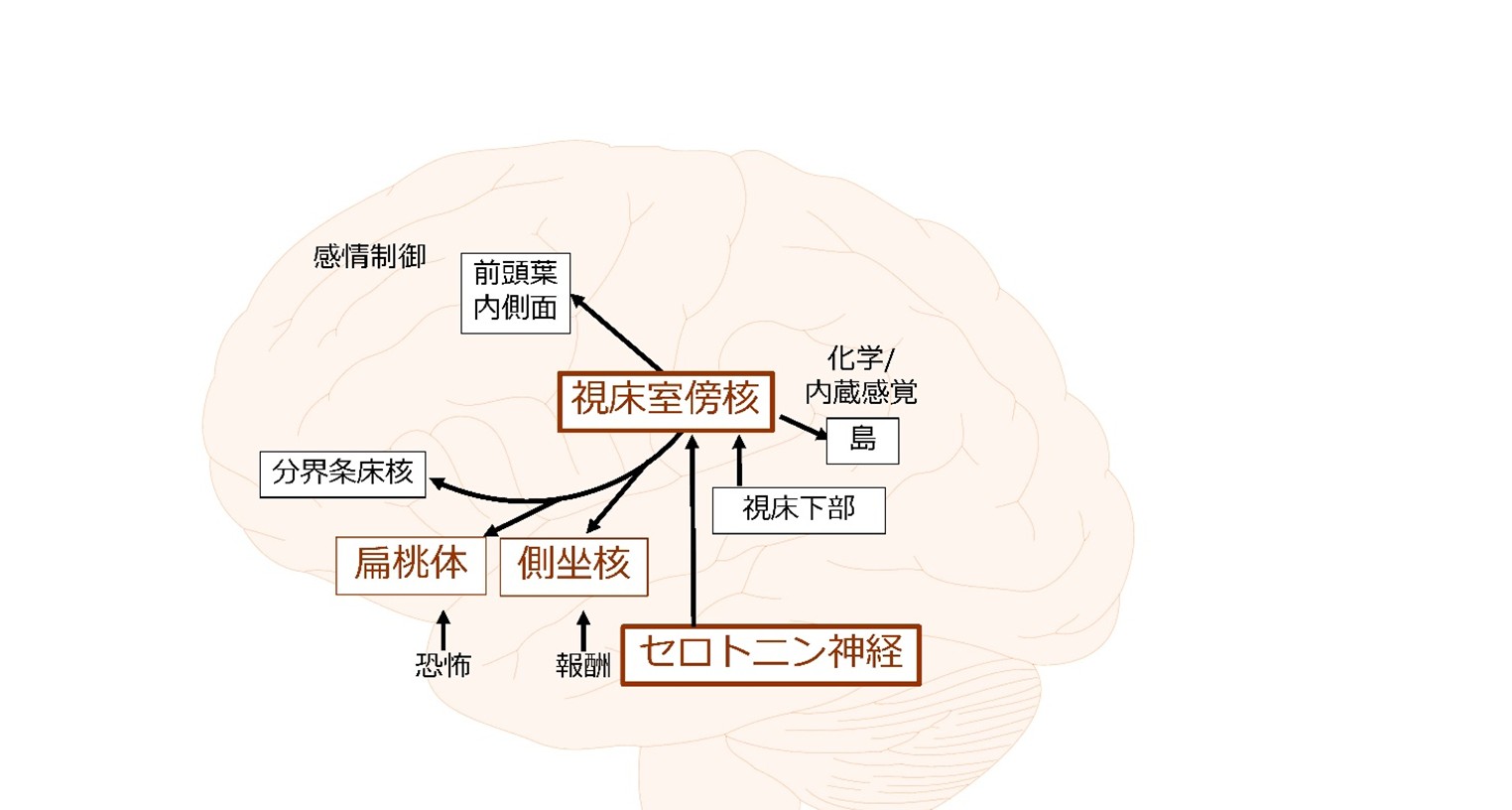 20260115プレスリリース画像_5