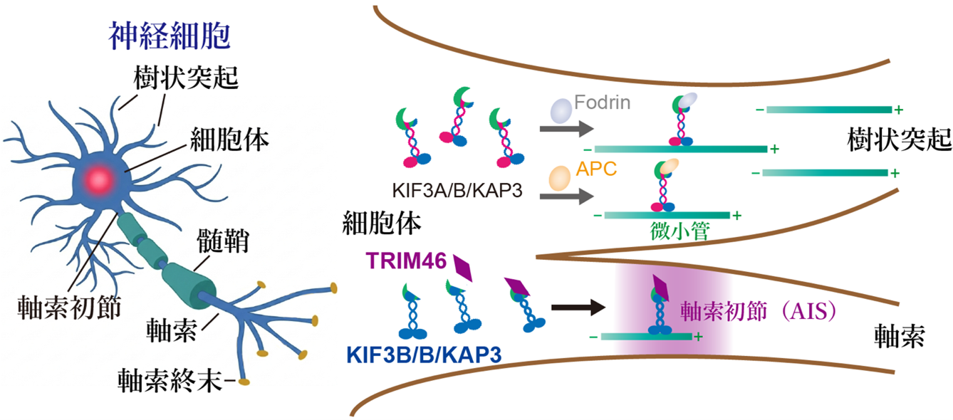 廣川先生0330画像1