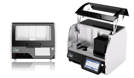 スクリーンショット 2026-02-13 120536