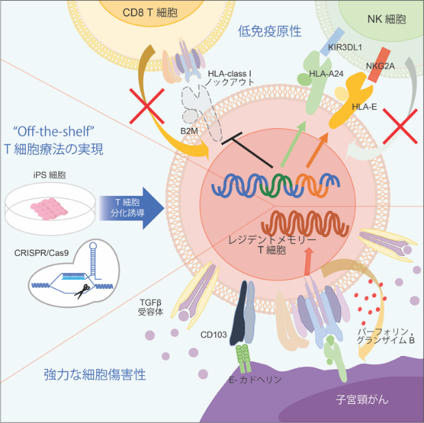 安藤先生②