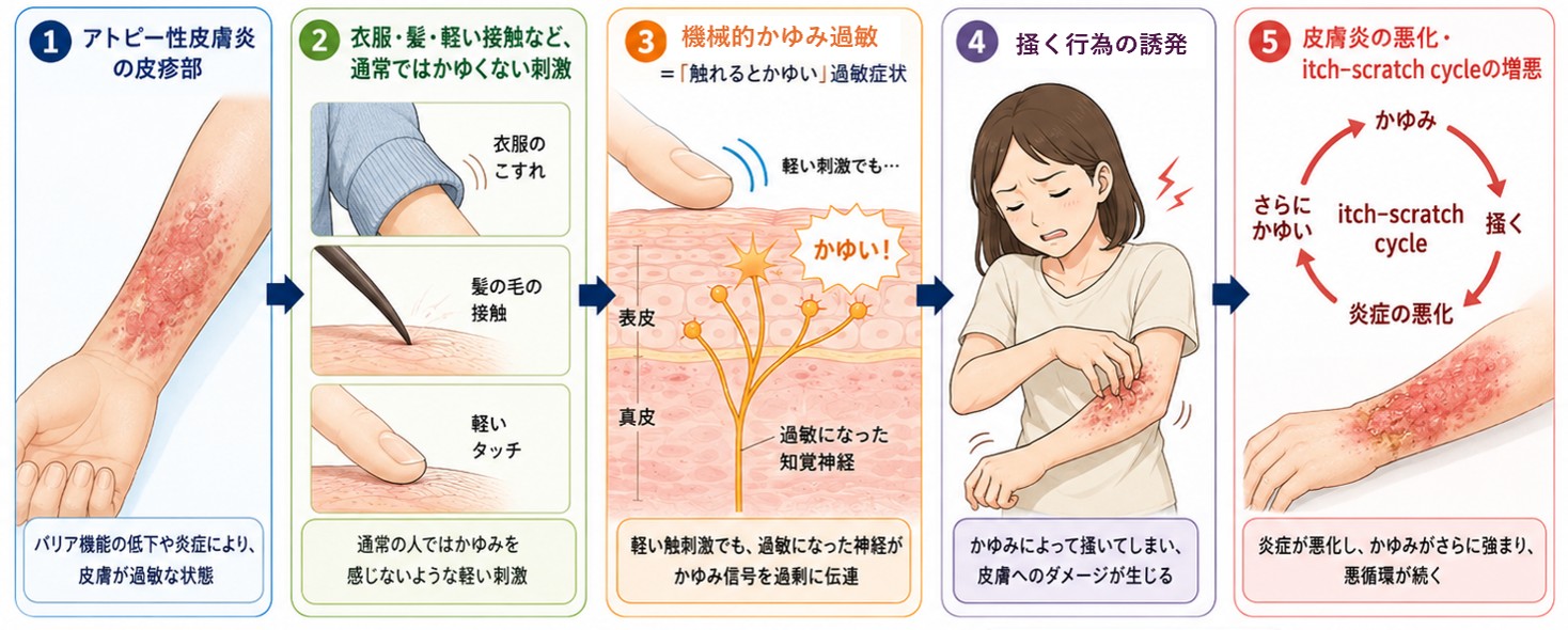 古宮先生画像1